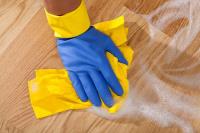 Pristine Carpet Cleaning & Home Services, LLC image 2